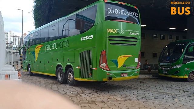 ESTRÉIA DO VISSTA BUSS 400 DA EXPRESSO UNIÃO | MOVIMENTO DE ÔNIBUS NA SEMANA DO CARNAVAL смотреть онлайн