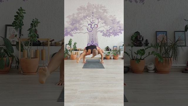 1000012196.mp4