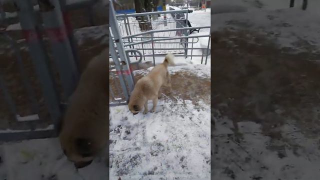 Верхний Баскунчак.Астраханская область.