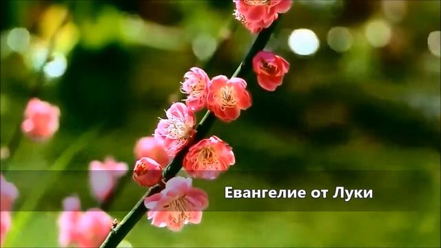 Евангелие от Луки / Глава 10 смотреть онлайн