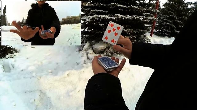 обучение простому карточному флоришу (torsion)