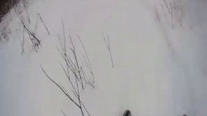 Обзор снегохода Тикси 250 люкс