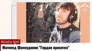 Магомед Шамсудинов Гордая красотка