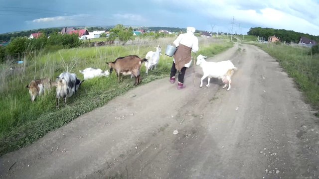 Козлы смотреть онлайн