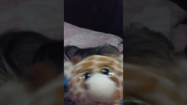 Hola soy luna ( los piojos ) смотреть онлайн