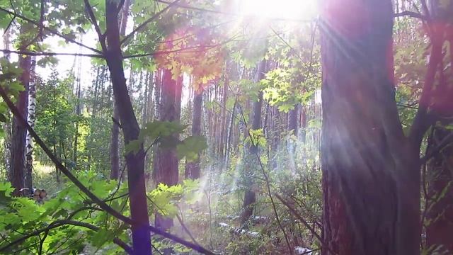 Кролики...отращивайте клыки.Или путь воина. смотреть онлайн