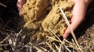 Образование гумуса почвы из мульчи