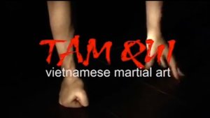 РАЗБИВАНИЕ КИРПИЧЕЙ! ТАМ КУИ КХИ-КОНГ. Мастер Thien Duyen.