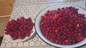 Кизил очень полезная ягода.