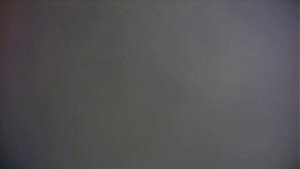 мир под микроскопом. стебель кукурузы с различным увеличеним