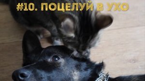 18 типов поцелуев, и что они означают