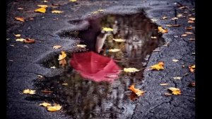 Звёзды в лужах  КЛИП/Avalend