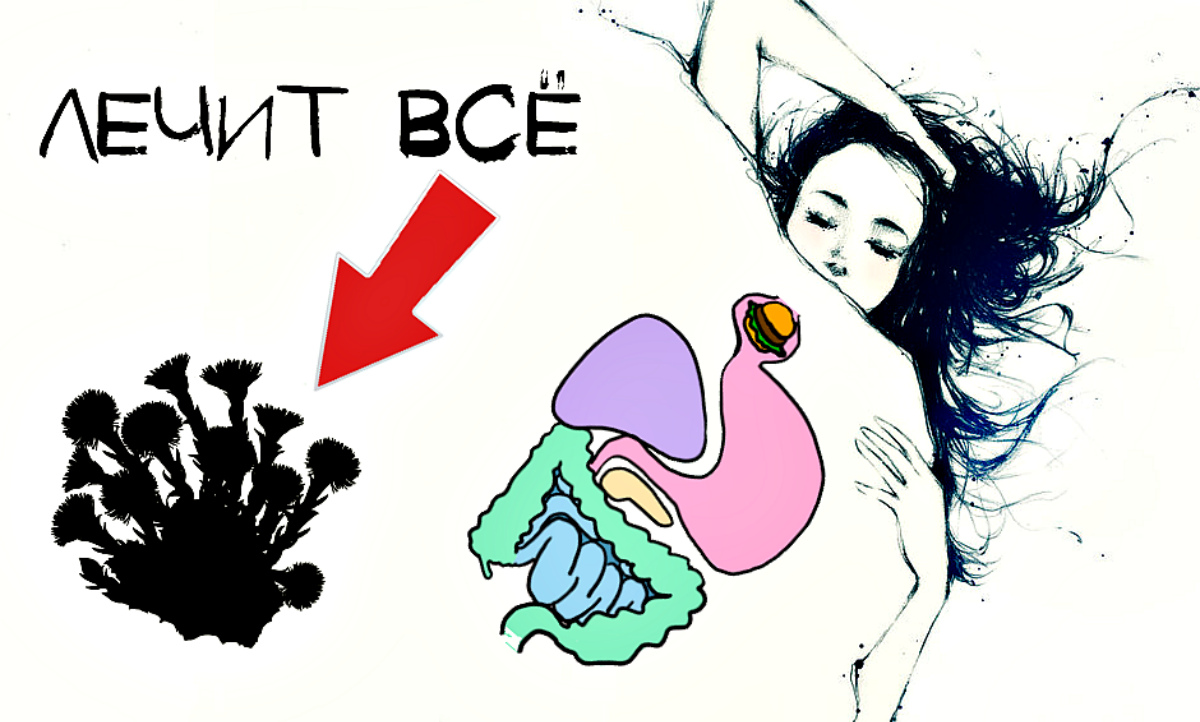 Это растение выведет ночью всю мокроту из ваших лёгких. Полезные свойства мать и мачехи. смотреть онлайн