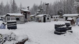 МАГФЕД ПЕЙНТБОЛ