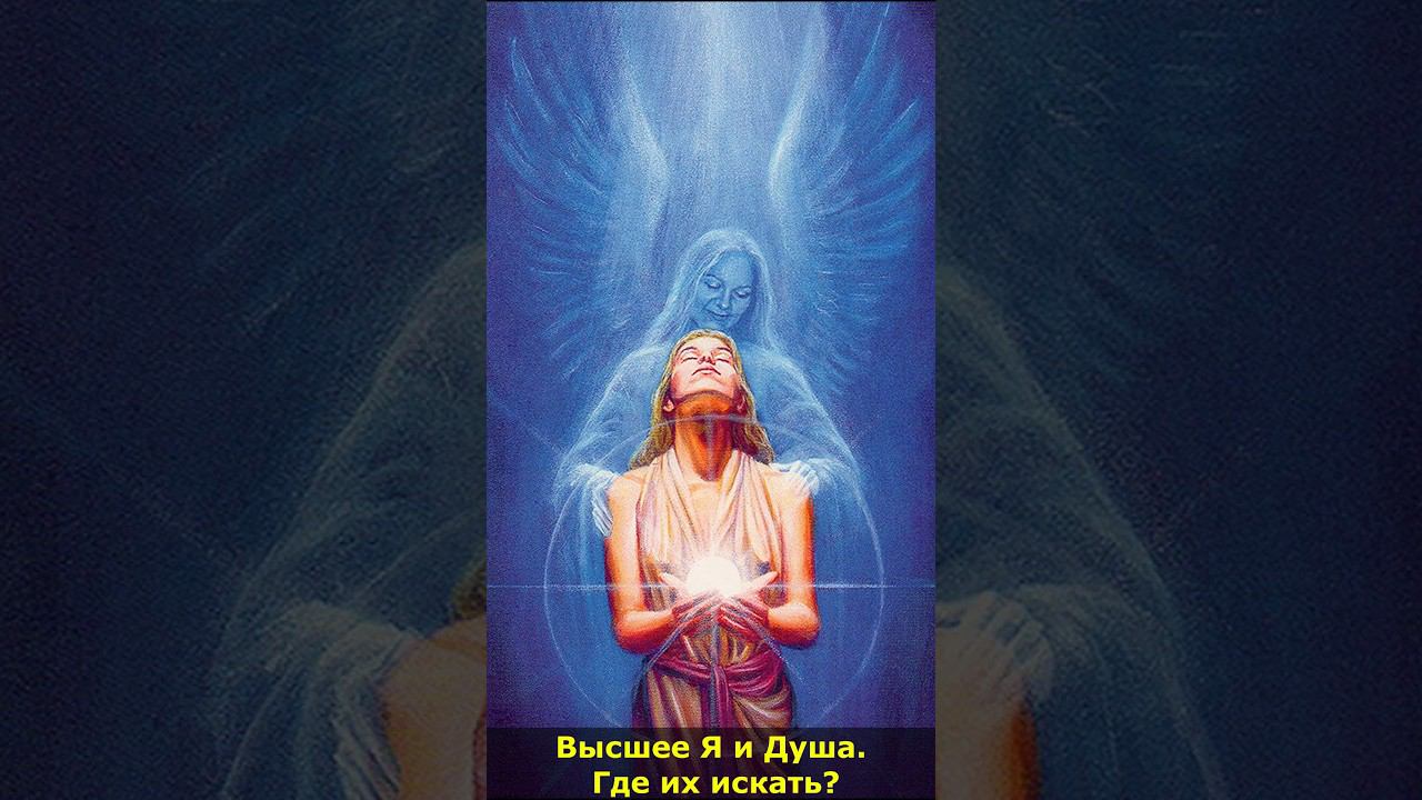 Высшее Я и Душа. Где их искать #высшеея #высшее #душа #кино смотреть онлайн