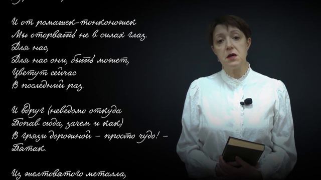 Год лейтенантской прозы. 100 лет со дня рождения Николая Старшинова
