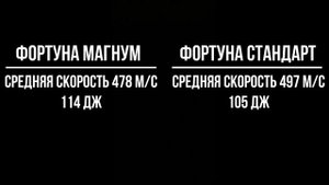 Возвращение легенды? Тестируем новую Фортуну Магнум 9РА на ПМ-Т.