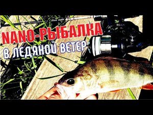 РЫБА КЛЮЁТ как из Пулемёта! наноДЖИГ может ВСЁ! Разловил Vanquish 1000SSSPG.