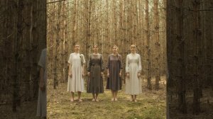 Куда летишь, кукушечка