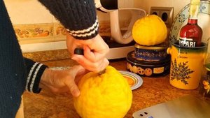 КУМКВАТ - как он растет, хотите посмотреть?-
