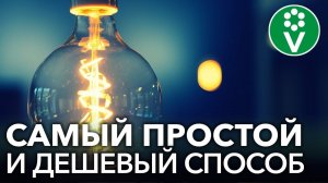 КАКИЕ ЛАМПЫ ВЫБРАТЬ ДЛЯ ПОДСВЕТКИ РАССАДЫ? Попробуйте ЭТОТ дешевый и надежный вариант