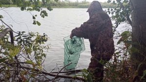 А можно ли поймать рака днём? Самый честный эксперимент. Ловим рака днём.