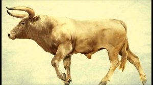 ТОП 10 Вымершие животные по вине человека