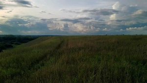 Поле за военными складами, Рязанская обл,г.Скопин
