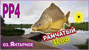 РР4 КАРП РАМЧАТЫЙ ТРОФЕЙ / ЯНТАРКА ЕЩЁ ПОРАДОВАЛА☺