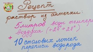 Перекись водорода и нашатырный спирт для огорода. Супер средство для овощей: подкормка, защита