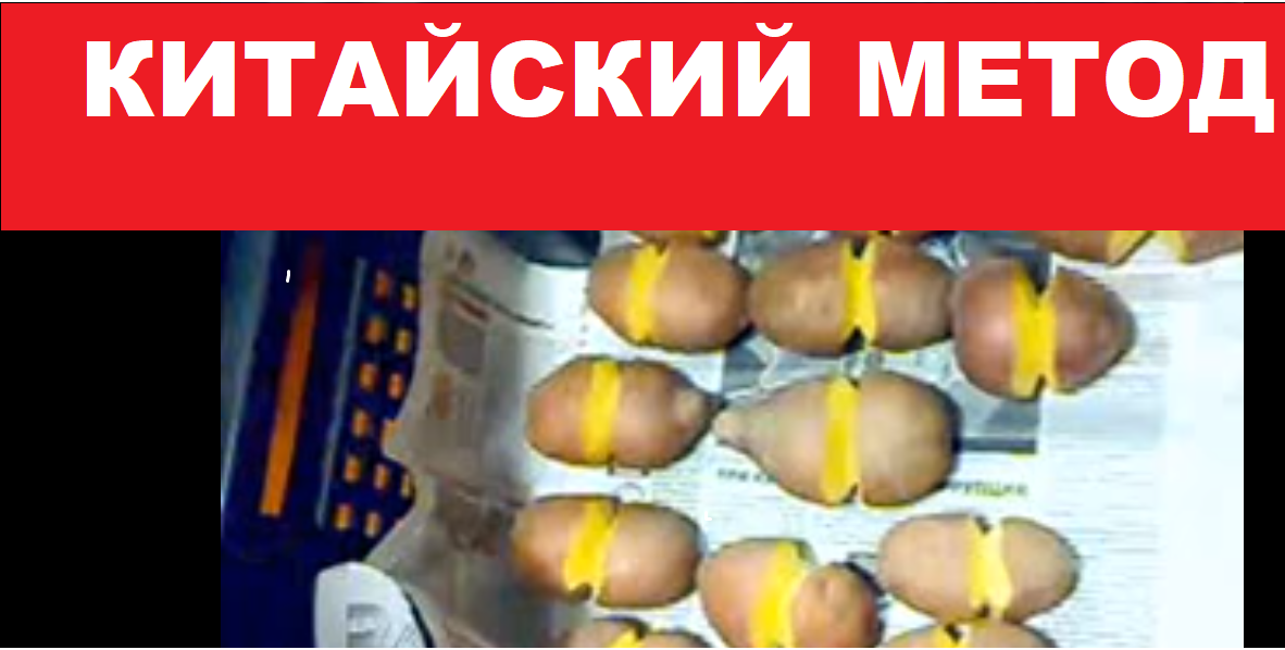 Китайский метод. Картошка в России.MP4