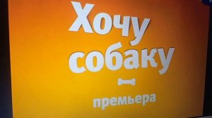 Хочу Собаку Карусель (Разве это Зеленый Лист) (Вот Тебе И Бонус)