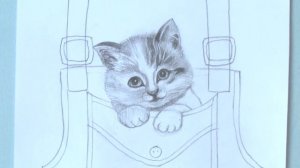 Как нарисовать кота карандашом | Рисуем котенка в кармашке | Art School