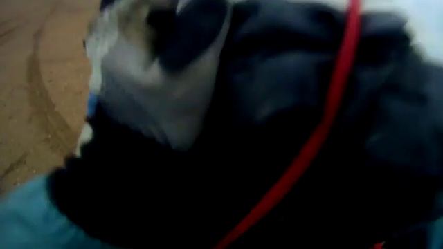 suzuki djebel 250 xc & казахстан2012 смотреть онлайн