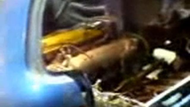 b20 смотреть онлайн