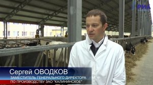 ЗАО "Калининское" работает в Тверской области уже более 90 лет
