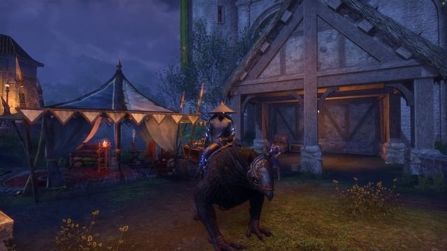День рождения Elder Scrolls Online (8 лет). Опыт, коробки и подержанный Грифон. TESO(2022) смотреть онлайн