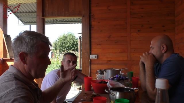 Юрий Васильевич: о голубях и голубеводах. 2 часть. смотреть онлайн