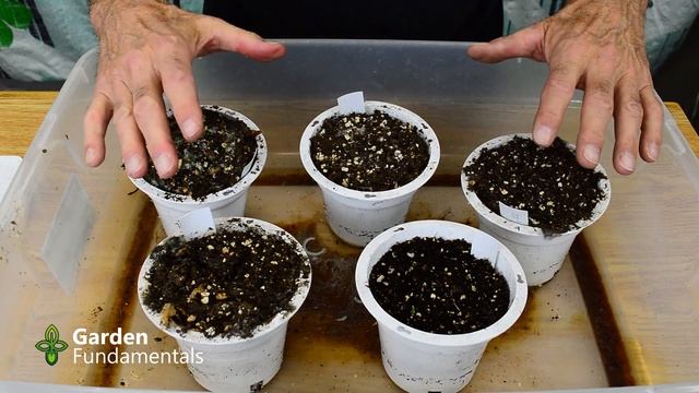 WARNING: Compost from an Electronic Composter can Harm Plants??? Results of a Seedling Test смотреть онлайн