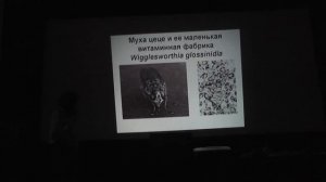 Мы и наши бактерии (Михаил Гельфанд)