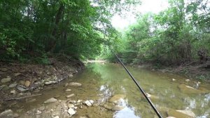 Ловля ГОЛАВЛЯ. Голавль на спиннинг в горах.