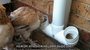 Кормушка для кур своими руками