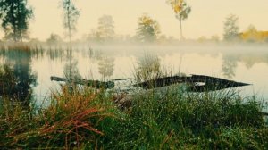 ЧТО ТАКОЕ ЛЯГУШКА [Интересное про лягушек]