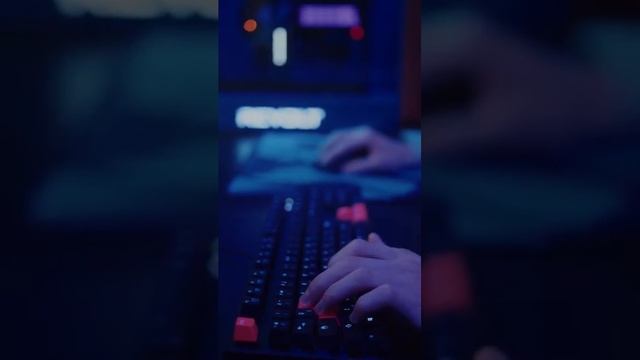 СКОЛЬКО Можно Заработать с Бота Для Aviso