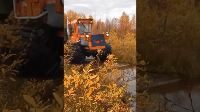 Т-150(720P_HD).mp4 смотреть онлайн