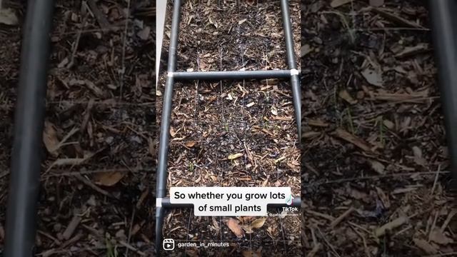 ✅ No thirsty plants. Even watering surrounding all of your plants ? #GardenGrid