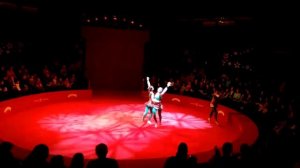 Кишиневский Государственный цирк.