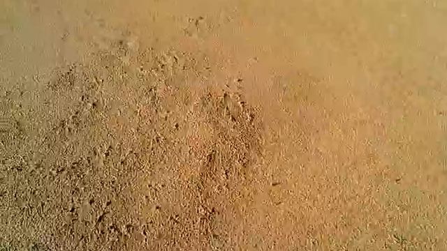 Рыбинское водохранилище - Пустыня смотреть онлайн