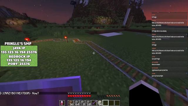 MINECRAFT PRINGLES SMP - LIVE WITH VIEWERS - BEDROCK AND JAVA SUPPORT #9 смотреть онлайн