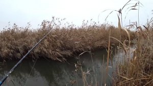 ЛОВЛЯ ЩУКИ В РУЧЬЕ НА СПИННИНГ! Рыбалка со спиннингом поздней осенью!!!
